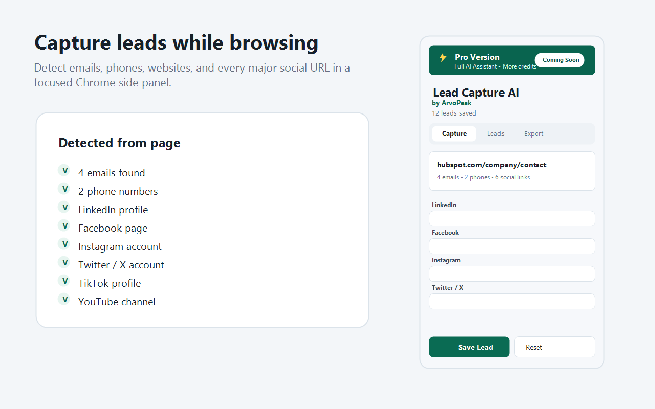 Capture leads while you browse — emails, phones & social URLs in a focused side panel